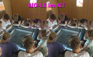 Biologie-Leistungskurs zu Besuch im KIT-Lernlabor
